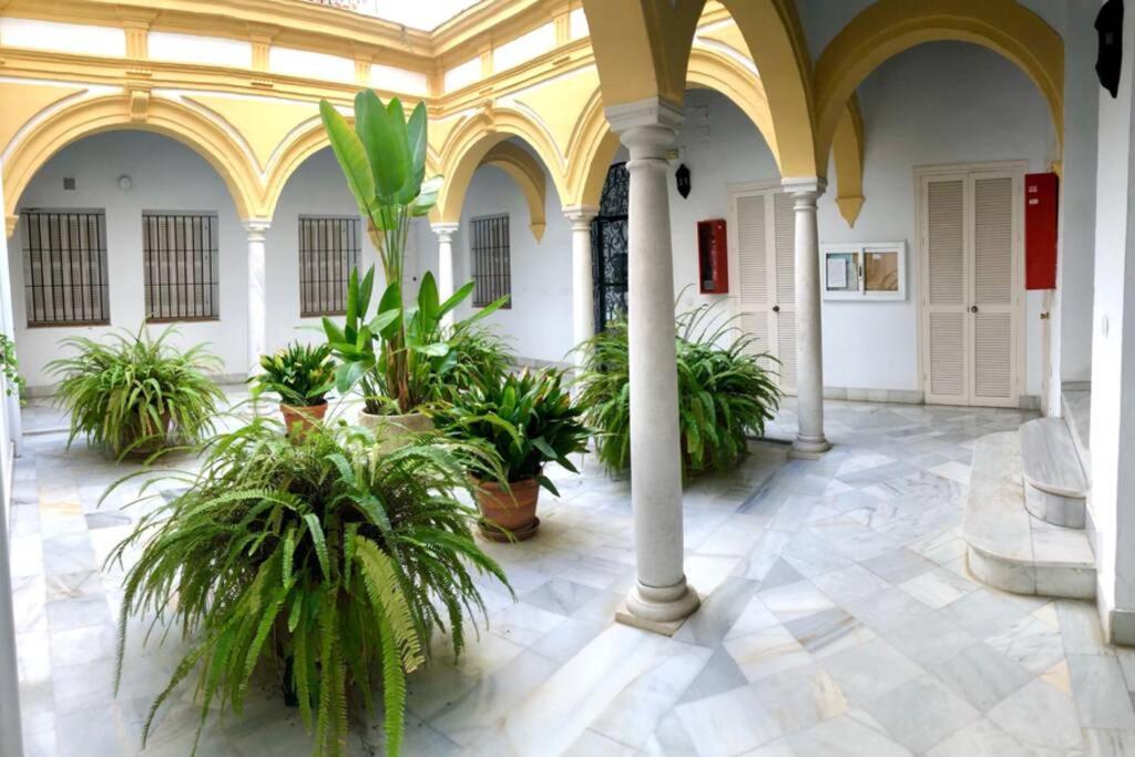 אל פוארטו דה סנטה מריה Gatu Villa Palma, Aire Acc Y Confort En El Centro Historico, " Preferente Mayores De 25 Anos Y Familias " מראה חיצוני תמונה