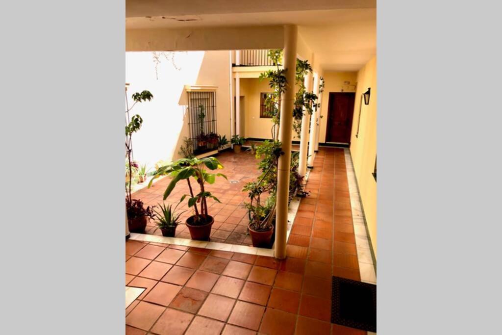 אל פוארטו דה סנטה מריה Gatu Villa Palma, Aire Acc Y Confort En El Centro Historico, " Preferente Mayores De 25 Anos Y Familias " מראה חיצוני תמונה